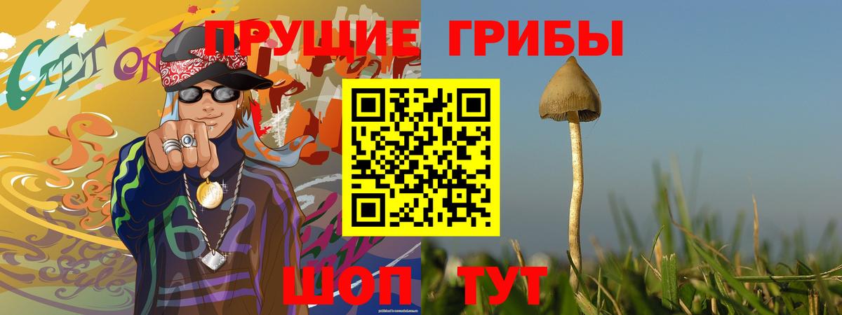 Галлюциногенные грибы Cubensis  Вход с VPN  Галлюциногенные грибы Psilocybe  Тосно 